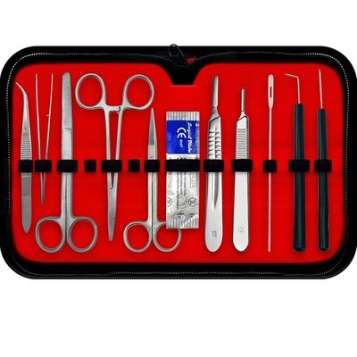 Anatomy Kit