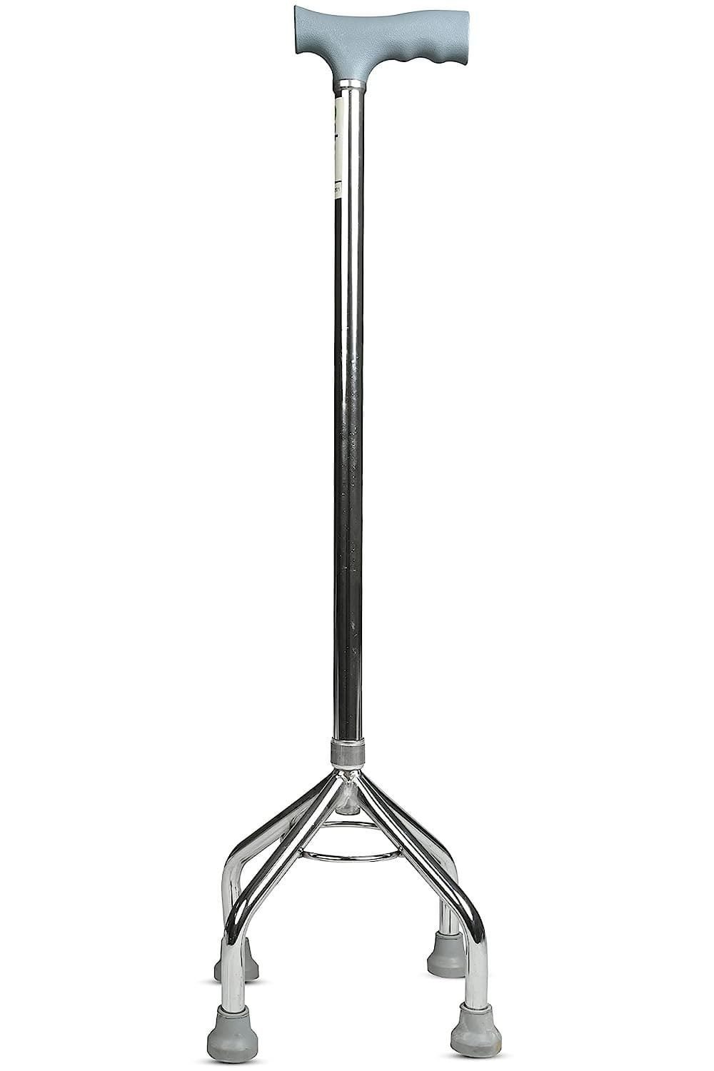 Walking Stick